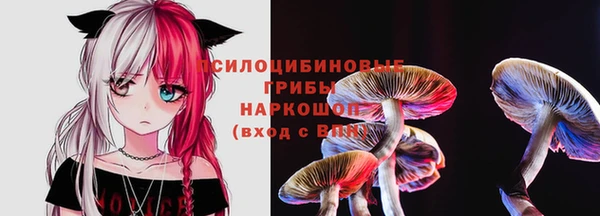 ГАЛЛЮЦИНОГЕННЫЕ ГРИБЫ Кукмор