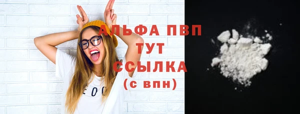 ГАЛЛЮЦИНОГЕННЫЕ ГРИБЫ Кукмор