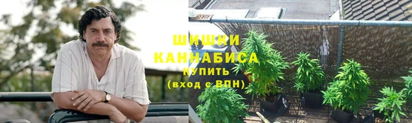 ГАЛЛЮЦИНОГЕННЫЕ ГРИБЫ Кукмор