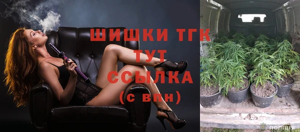 не бодяженный Бердск