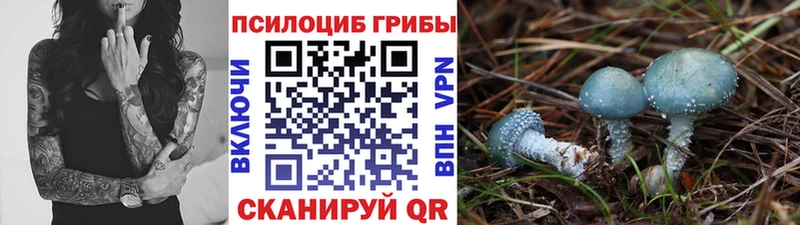 Галлюциногенные грибы мицелий Фокино